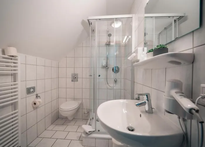 Bed & Breakfast Airport Lounge 3*