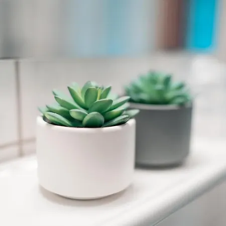 לינה וארוחת בוקר Airport Lounge 3*