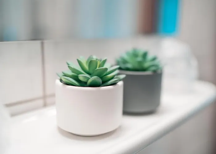 فندق مبيت وإفطار Airport Lounge 3*